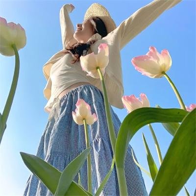 逆流之青云直上